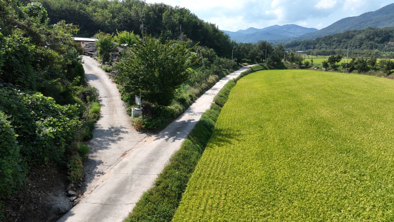 산과 논이 펼쳐진 경방원 주변 풍경